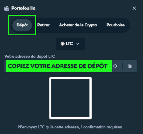 Faire un dépôt sur STAKE.com en crypto litecoin bitcoin ethereum